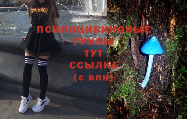 прущий лед Абаза