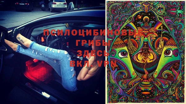прущий лед Абаза